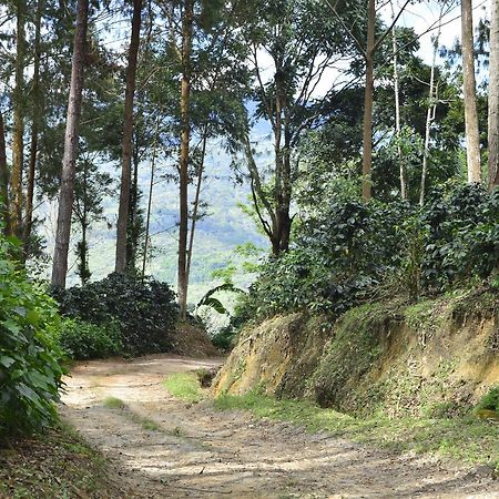 Отель Finca Santa Rosa Марискаль-Кастилья Экстерьер фото